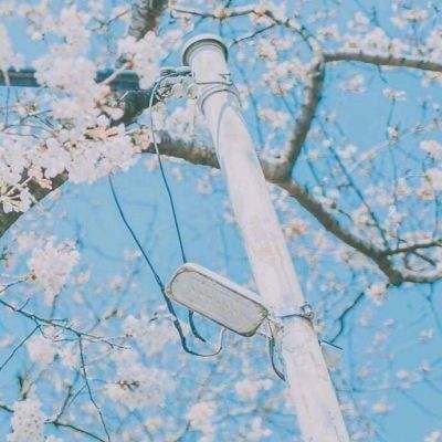 m6米乐官方app下载